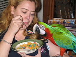 White River in Arkansas 210.jpg